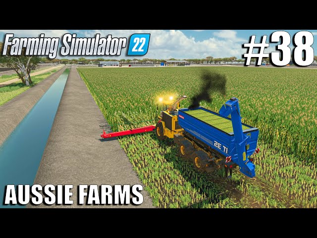 MAIZE SILAGE Harvest and LOAD w/ CMC SATURNE 5800 HKL | Aussie Farms 22 | Farming Simulator 22