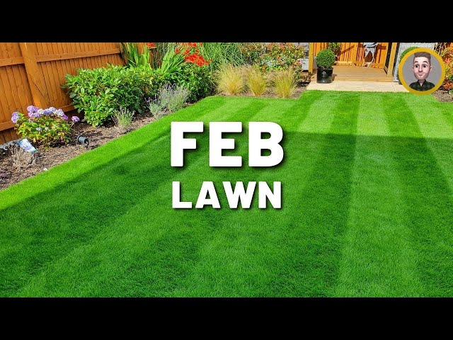 First Mow of the Year // February Lawn Care Calender Tips (Winter)