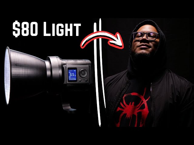 My New Favorite COB Light Is The Cheapest | Raleno 80W COB Light Review