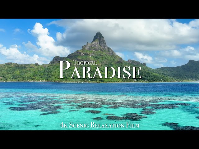 Tropical Paradise 4K - Scenic Relaxation Film in Tahiti, Bora Bora & Mo’orea