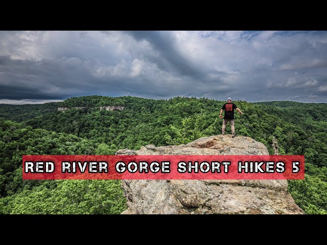 Red River Gorge Short Hikes 5 - Red River Gorge Kentucky - Red River Gorge Hiking - Hopewell Arch