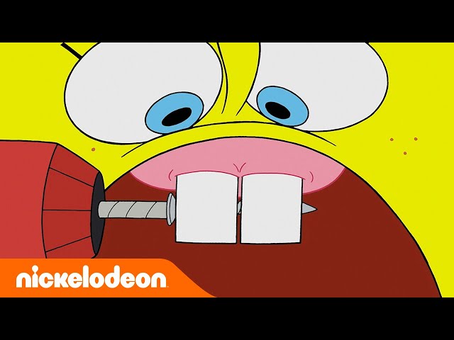 SpongeBob | SpongeBob ma nowe zęby | Nickelodeon Polska