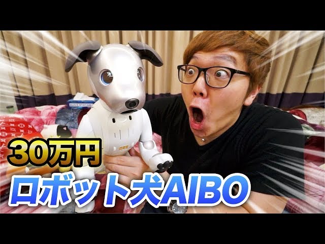 【30万円】我が家に犬がやってきた！【AIBO】