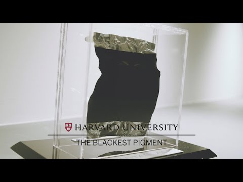 Harvard Art Museums’ blackest pigment