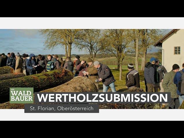 Wertholzsubmission in Oberösterreich