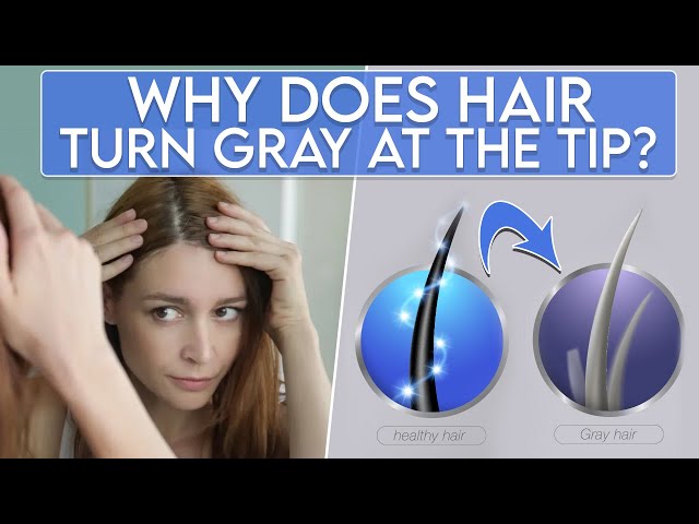 Why Does Hair Turn Gray at the Tip ?  Is it a symptom of major health issues?
