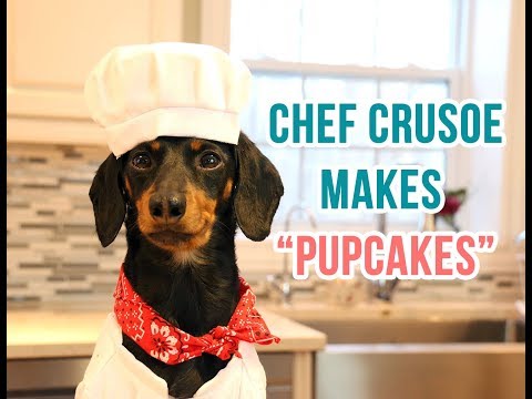 Chef Crusoe Makes "Pupcakes" to Help Save Pups!