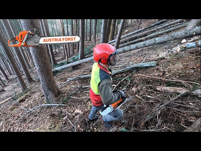 Extrem gefährliche Holzarbeit im Steilhang