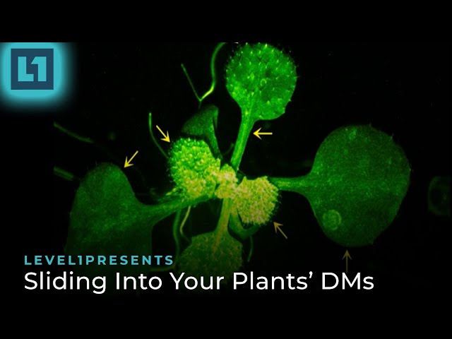 The Level1 Show January 26 2024: Sliding Into Your Plants' DMs
