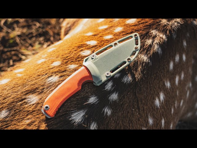 Tellus and Altair Knives - Texas Axis Deer Hunt