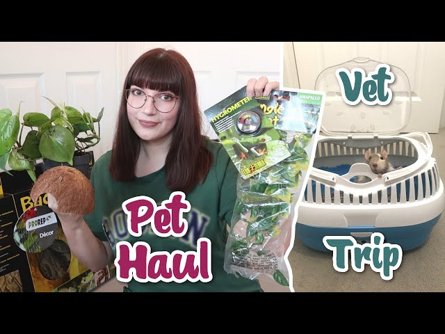Supplies for a NEW pet & taking Moose to the vet | VLOG