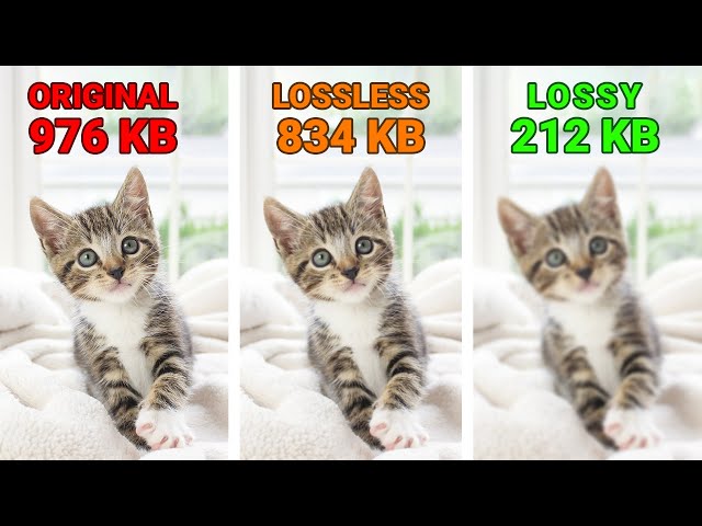 What Is the Difference in Lossy vs Lossless Compression?