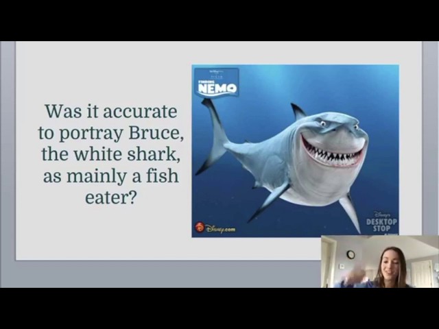 Sharks and Shark Behavior in Finding Nemo