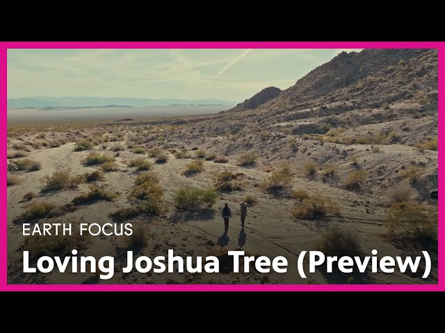 Loving Joshua Tree (Preview) | Earth Focus | Season 5, Episode 4 | PBS SoCal