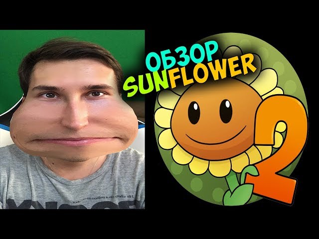 Растения против Зомби - ПОДСОЛНУХ (Sunflower) - Обзор | Андромаликпедия #2