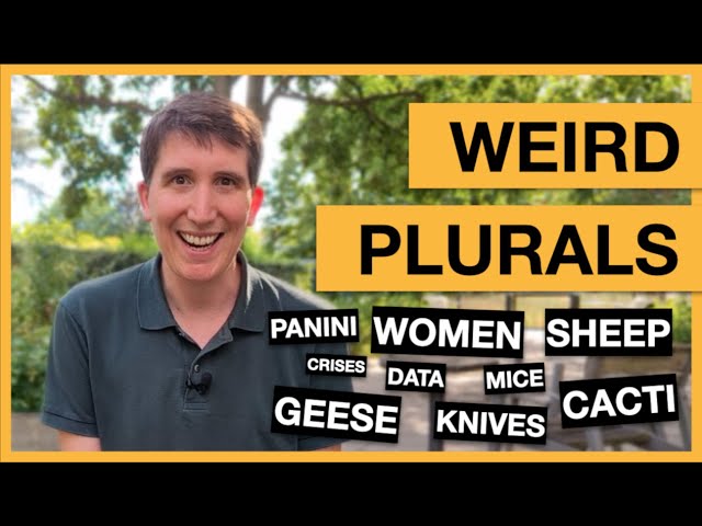Weird plurals in English: Men, geese, sheep, knives and many more