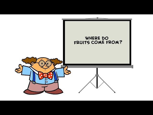 WHERE DO FRUITS COME FROM? Find out in Weeman's classroom