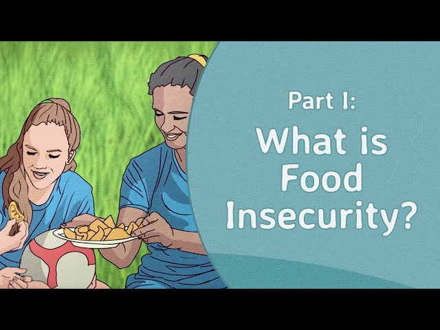 Part I: What is Food Insecurity?