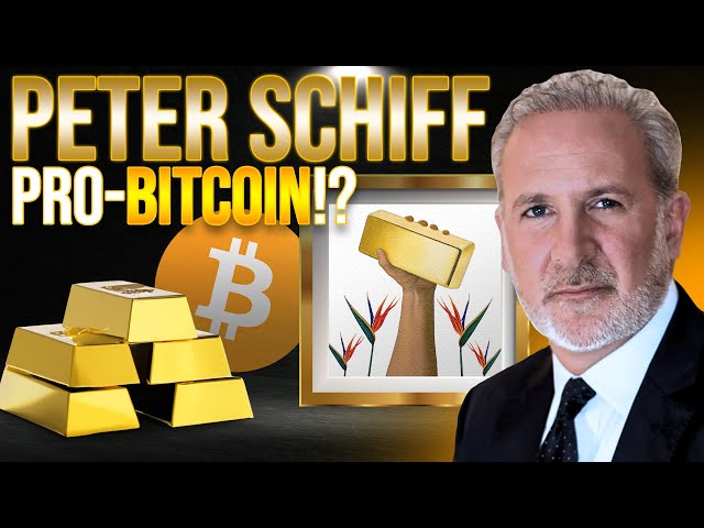 Peter Schiff interview | Macro-Economy + Bitcoin Ordinals