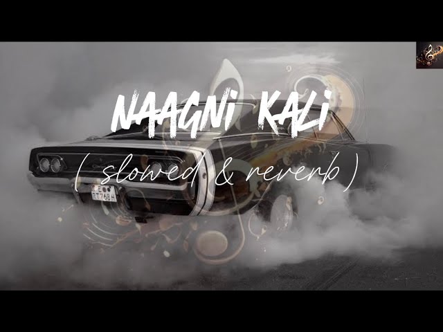 || Naagni Kali || Amar Singh chamkila || slowed & reverb || remix song||