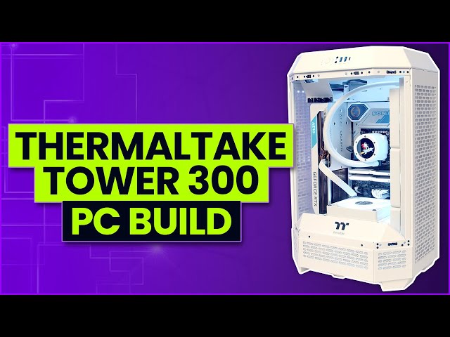 Thermaltake Tower 300 Build