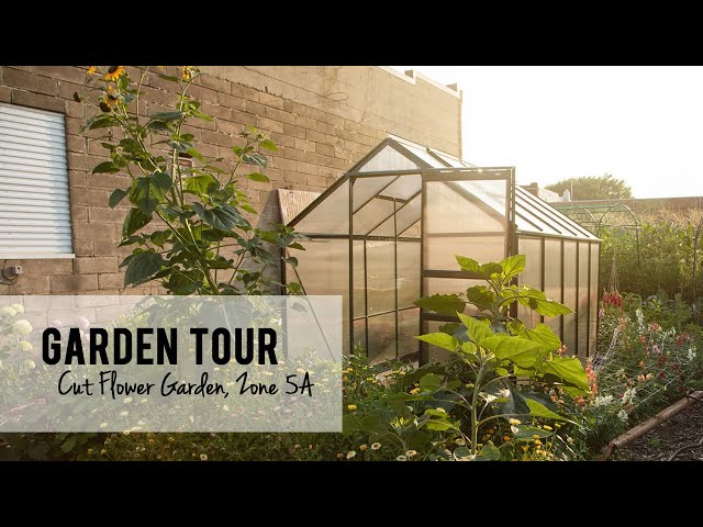 July Cut Flower Garden Tour 2021, Zone 5A, Iowa, Growing Cut Flowers for Market Bouquets