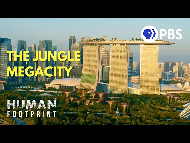 Singapore: Designing a Megacity in Harmony with Nature 🌳