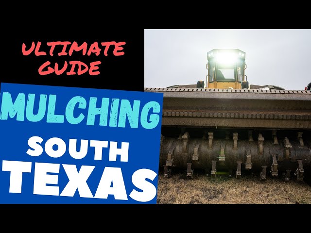 BRUSH MULCHING in South Texas!  Watch and Learn about clearing brush and trees in south Texas.