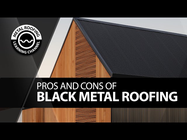 Black Metal Roofing Panels [Pros, Cons + House Pics] Matte Black Standing Seam And Corrugated Roofs