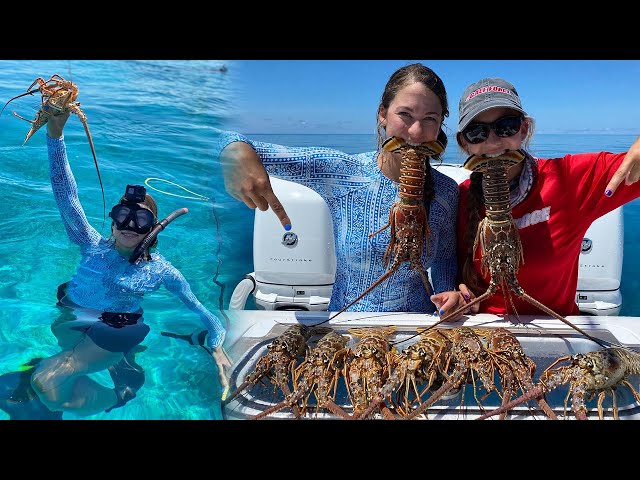My First Lobster on Pole Spear - Bahamas Bugs Catch Clean Cook