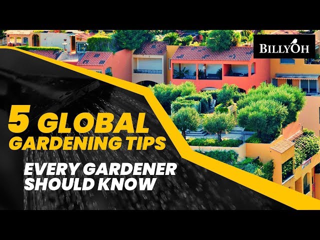 5 Global Gardening Tips Every Gardener Should Know - Gardening Hacks From Around The World