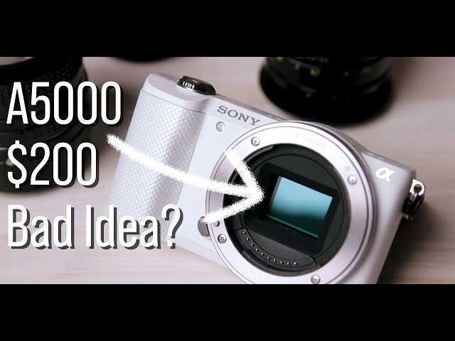 Is a $200 Sony Camera a WASTE of money? -Sony A5000 Review