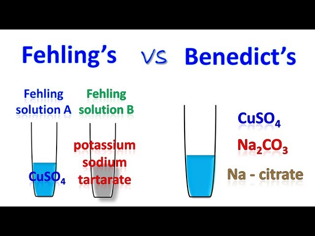 Difference between fehling and benedict test