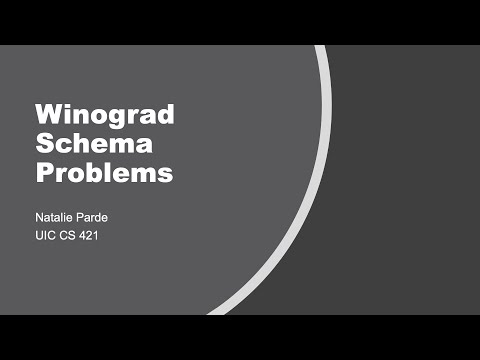 Winograd Schema Problems