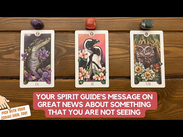 Your Spirit Guide's Message on Great News About Something That You Are Not Seeing | Timeless Reading