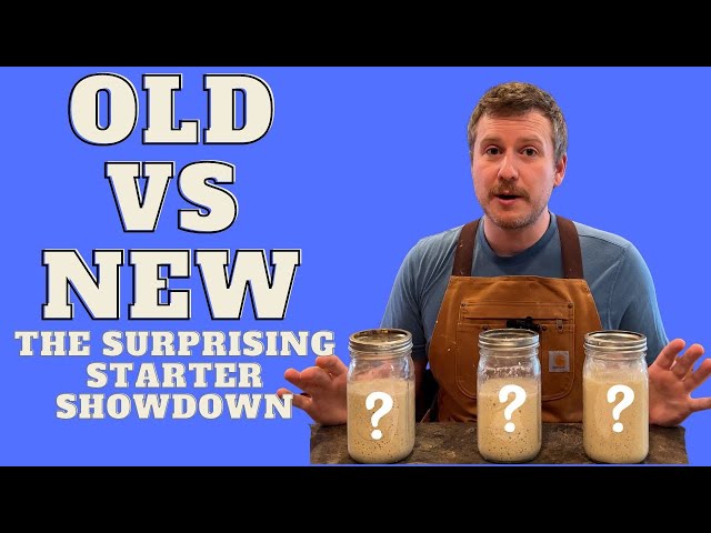 Old Starter, New Starter: Which is Best? | Baking Experiment
