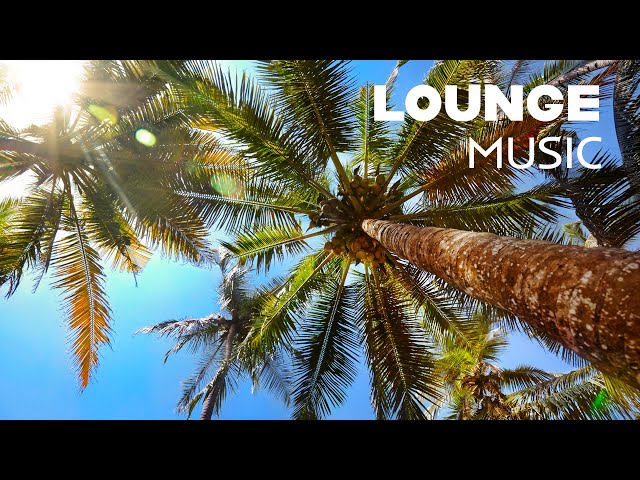 Vacation Beats | Calm Down and Relax | Chill Out Background Music