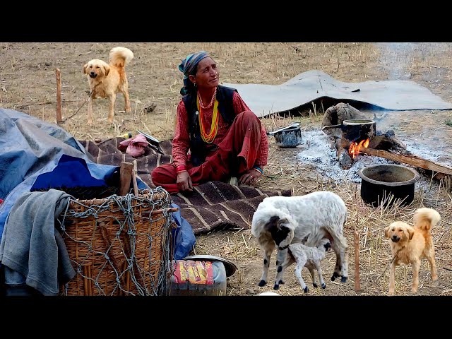 Himalayan Sheep Shepherd life || shepherd food cooking -Ep.9|| peaceful Nepali shepherd lifestyle