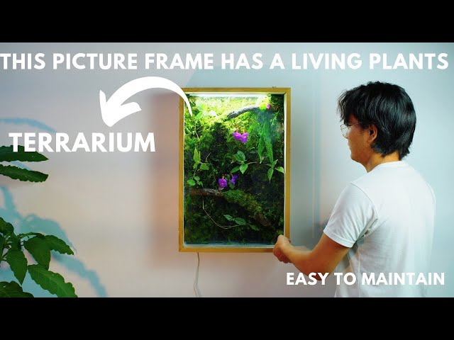 i made a terrarium in a picture frame (shadow box)  diy living wall