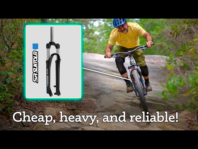 The most popular MTB fork you (probably) know nothing about