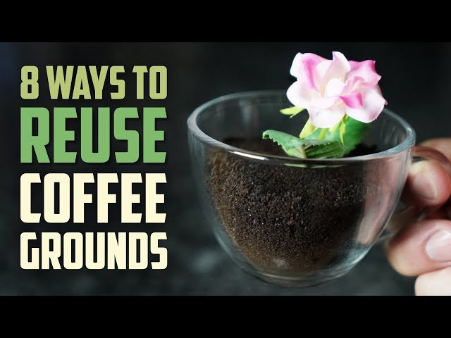 8 Smart Ways to Reuse Coffee Grounds