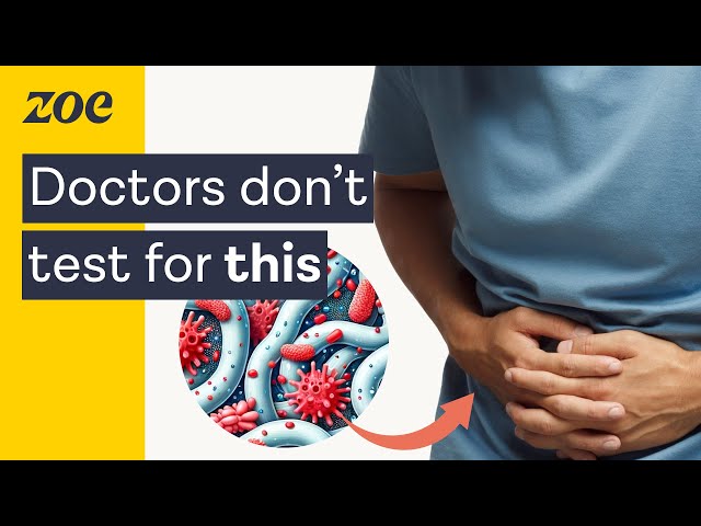 Could this be causing your IBS? with Dr. Will Bulsiewicz