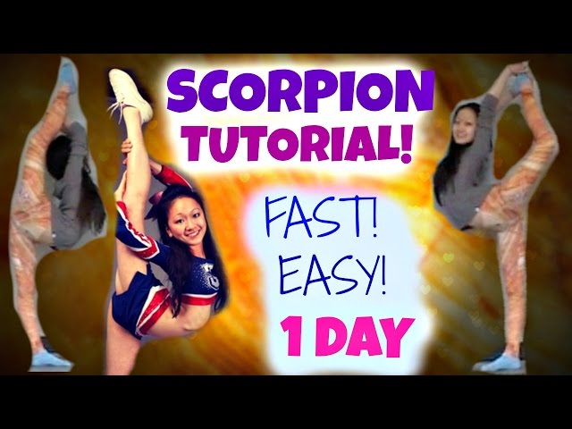 How to Learn a SCORPION - in ONE DAY!