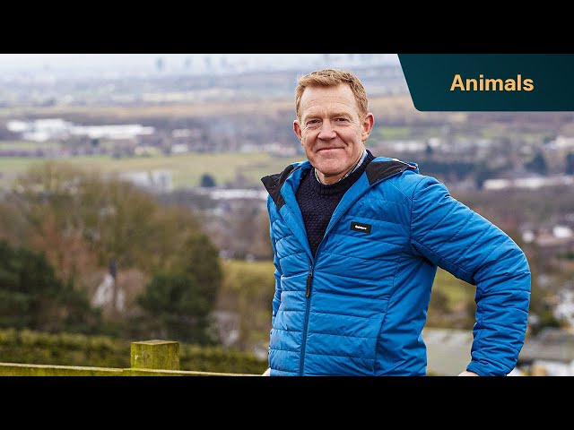 Transforming Britain's farmyards one farm at a time... | Our Family Farm Rescue With Adam Henson