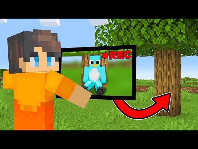 Using Security Cameras to CHEAT in Hide and Seek Minecraft