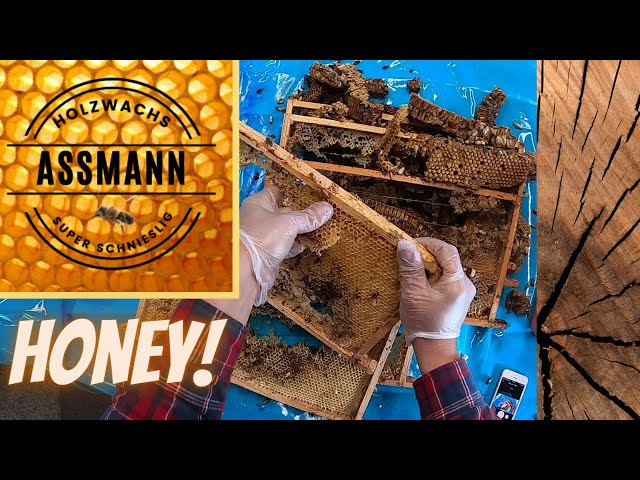 How to make your own Woodwax (The Hard Way) 1/2