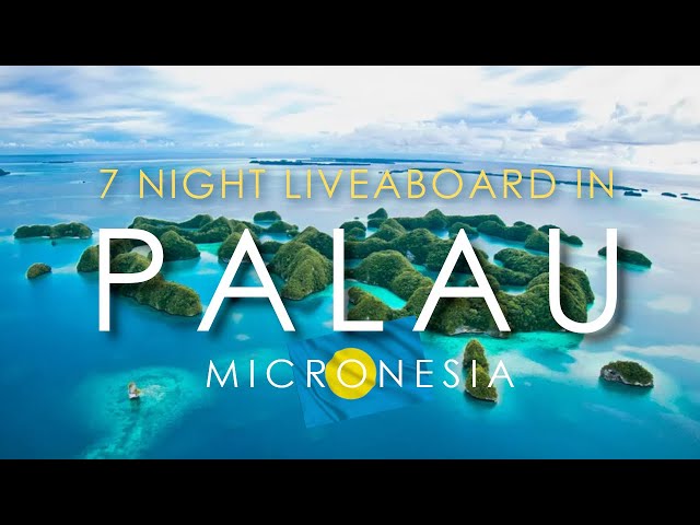 Palau, Micronesia 🇵🇼 - 7-Night Scuba Diving Liveaboard | Is it WORTH IT? What to Expect
