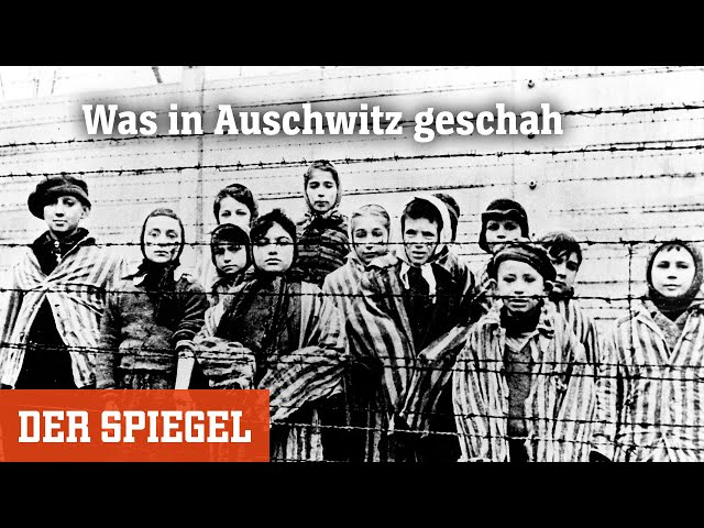 Holocaust: Was in Auschwitz geschah | DER SPIEGEL