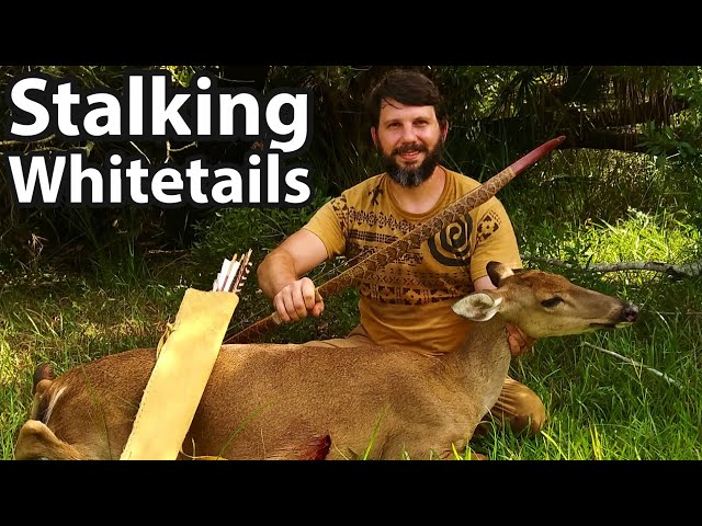 Spot and Stalk Primitive Bow Hunting for Deer