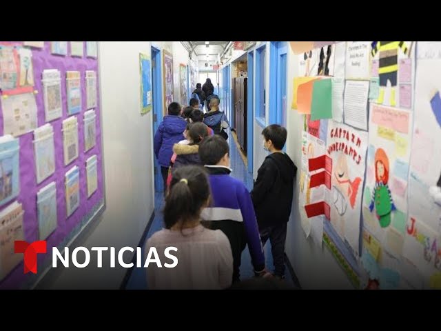 Funcionario de Texas propone preguntarles a alumnos por su estatus migratorio | Noticias Telemundo